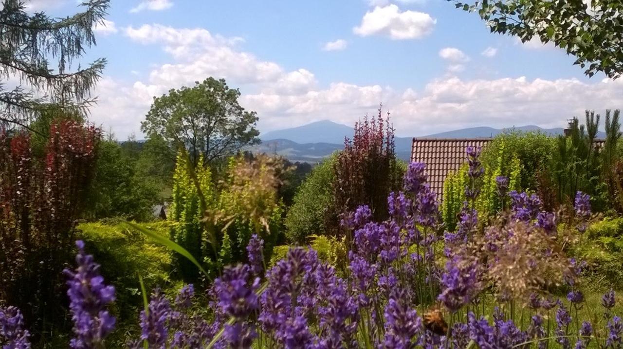 Villa Gorczanska Rabka Luaran gambar